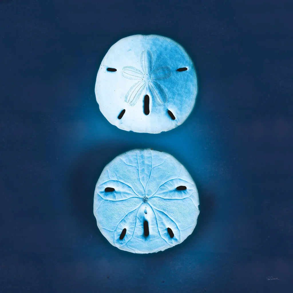 Cyanotype Sea IV by Sue Schlabach. SKU 32597a. Archival Giclee Fine art print for wall decor.