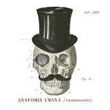 Dandy Bones I by Sue Schlabach. SKU 21818a. Archival Giclee Fine art print for wall decor.