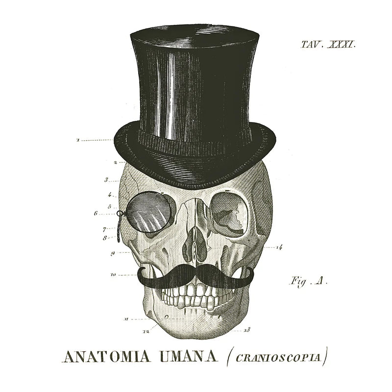 Dandy Bones I by Sue Schlabach. SKU 21818a. Archival Giclee Fine art print for wall decor.