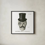 Dandy Bones I by Sue Schlabach. Shown in a sleek black glass frame for a contemporary gallery look. Available as an archival giclee rolled canvas, fine art paper, or poster print. SKU 21818a.