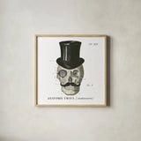 Dandy Bones I by Sue Schlabach. Shown in a natural wood glass frame for a timeless modern aesthetic. Available as an archival giclee rolled canvas, fine art paper, or poster print. SKU 21818a.