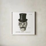 Dandy Bones I by Sue Schlabach. Shown in a crisp white glass frame for a clean and minimalist style. Available as an archival giclee rolled canvas, fine art paper, or poster print. SKU 21818a.