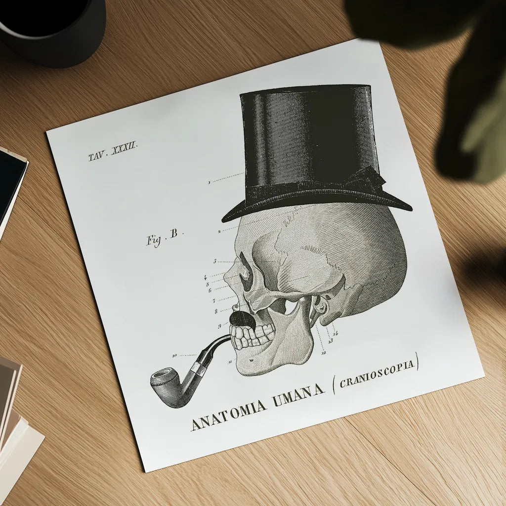 Dandy Bones II by Sue Schlabach. Shown as a detailed flat fine art print, highlighting archival giclee quality. Available as an archival giclee rolled canvas, fine art paper, or poster print. SKU 21819a.