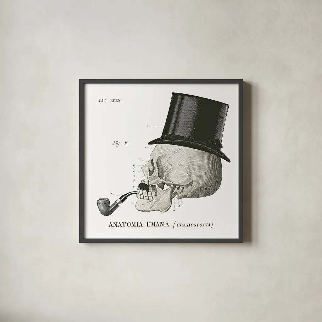 Dandy Bones II by Sue Schlabach. Shown in a sleek black glass frame for a contemporary gallery look. Available as an archival giclee rolled canvas, fine art paper, or poster print. SKU 21819a.