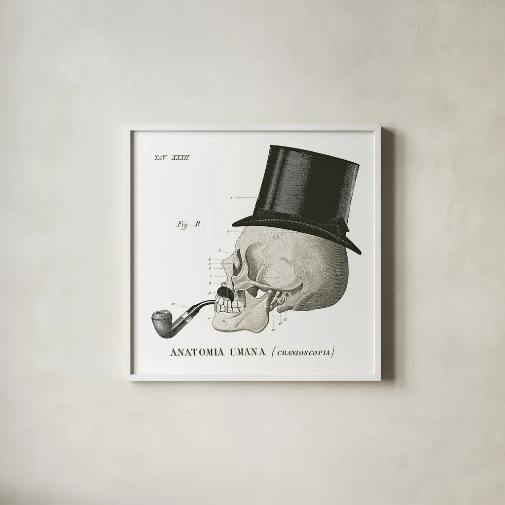 Dandy Bones II by Sue Schlabach. Shown in a crisp white glass frame for a clean and minimalist style. Available as an archival giclee rolled canvas, fine art paper, or poster print. SKU 21819a.