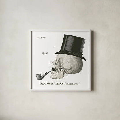 Dandy Bones II by Sue Schlabach. Shown in a crisp white glass frame for a clean and minimalist style. Available as an archival giclee rolled canvas, fine art paper, or poster print. SKU 21819a.