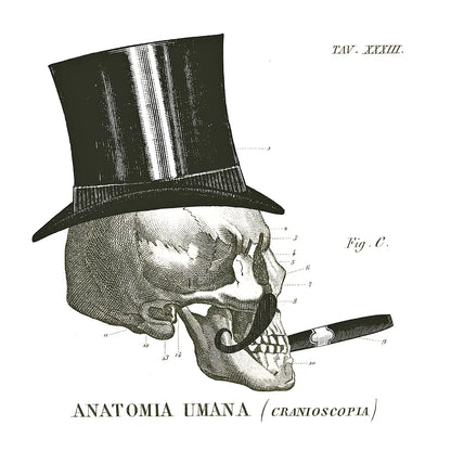 Dandy Bones III by Sue Schlabach. SKU 21820a. Archival Giclee Fine art print for wall decor.