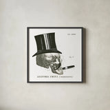 Dandy Bones III by Sue Schlabach. Shown in a sleek black glass frame for a contemporary gallery look. Available as an archival giclee rolled canvas, fine art paper, or poster print. SKU 21820a.
