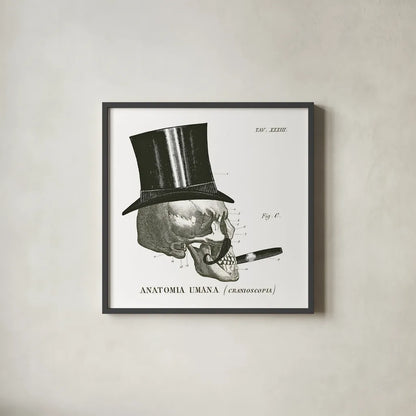 Dandy Bones III by Sue Schlabach. Shown in a sleek black glass frame for a contemporary gallery look. Available as an archival giclee rolled canvas, fine art paper, or poster print. SKU 21820a.