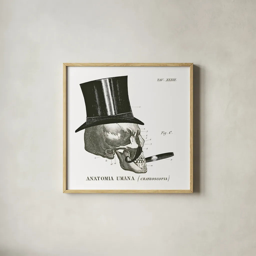 Dandy Bones III by Sue Schlabach. Shown in a natural wood glass frame for a timeless modern aesthetic. Available as an archival giclee rolled canvas, fine art paper, or poster print. SKU 21820a.