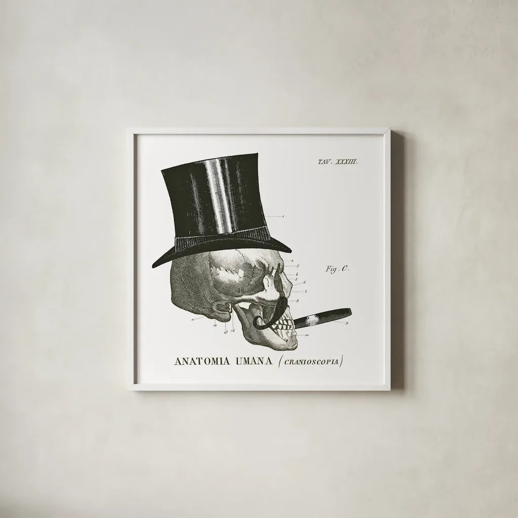 Dandy Bones III by Sue Schlabach. Shown in a crisp white glass frame for a clean and minimalist style. Available as an archival giclee rolled canvas, fine art paper, or poster print. SKU 21820a.