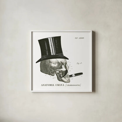 Dandy Bones III by Sue Schlabach. Shown in a crisp white glass frame for a clean and minimalist style. Available as an archival giclee rolled canvas, fine art paper, or poster print. SKU 21820a.