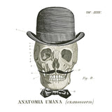 Dandy Bones IV by Sue Schlabach. SKU 21821a. Archival Giclee Fine art print for wall decor.