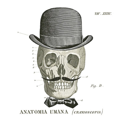 Dandy Bones IV by Sue Schlabach. SKU 21821a. Archival Giclee Fine art print for wall decor.