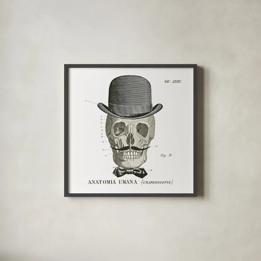 Dandy Bones IV by Sue Schlabach. Shown in a sleek black glass frame for a contemporary gallery look. Available as an archival giclee rolled canvas, fine art paper, or poster print. SKU 21821a.