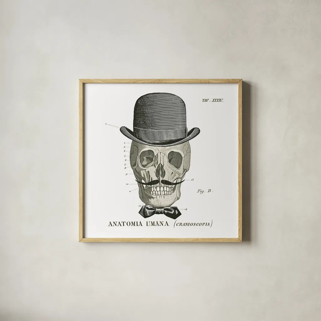 Dandy Bones IV by Sue Schlabach. Shown in a natural wood glass frame for a timeless modern aesthetic. Available as an archival giclee rolled canvas, fine art paper, or poster print. SKU 21821a.