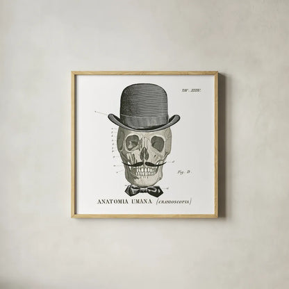 Dandy Bones IV by Sue Schlabach. Shown in a natural wood glass frame for a timeless modern aesthetic. Available as an archival giclee rolled canvas, fine art paper, or poster print. SKU 21821a.