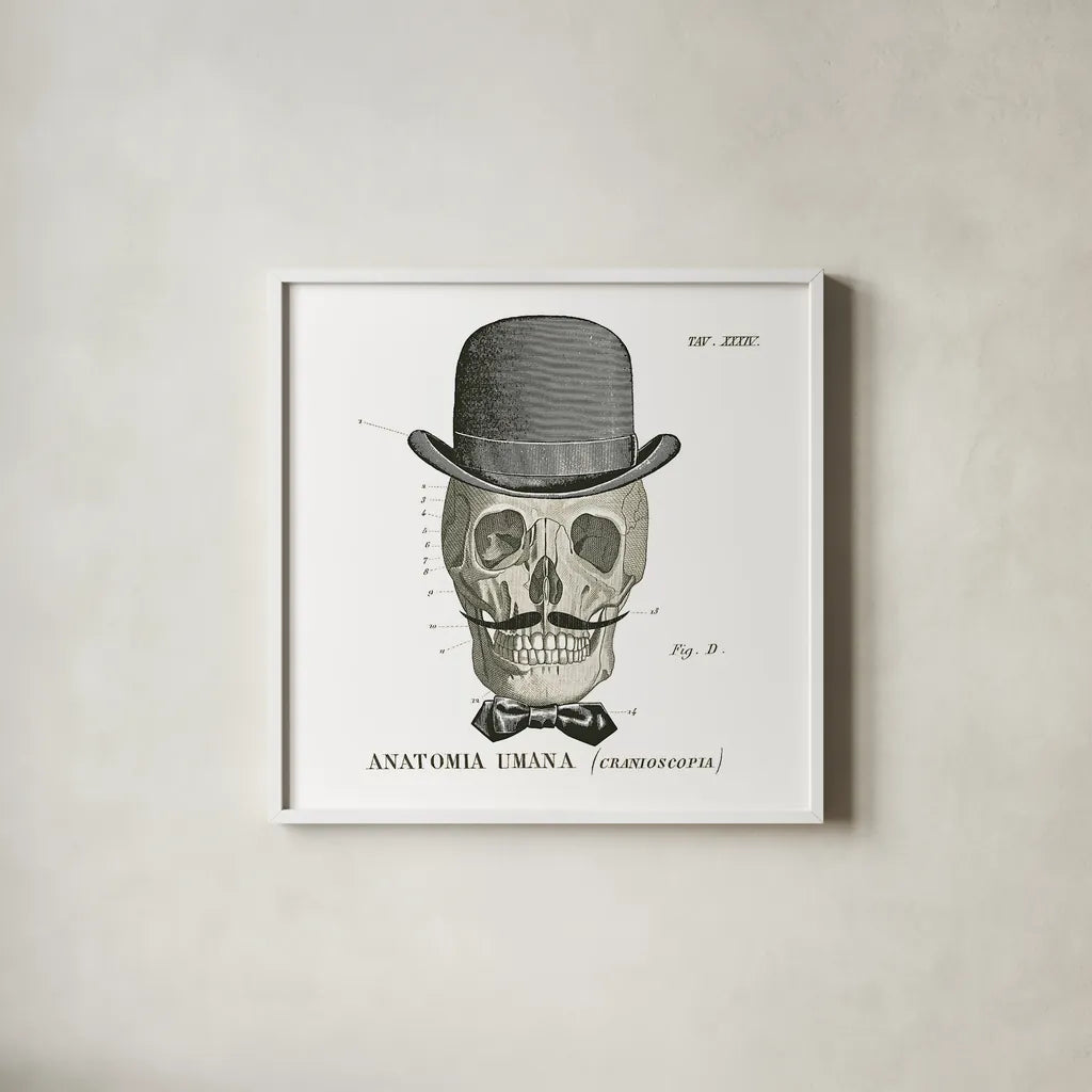 Dandy Bones IV by Sue Schlabach. Shown in a crisp white glass frame for a clean and minimalist style. Available as an archival giclee rolled canvas, fine art paper, or poster print. SKU 21821a.