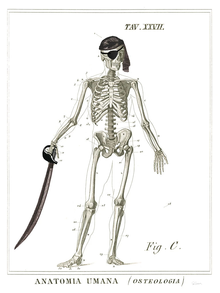 Dandy Bones Pirate by Sue Schlabach
