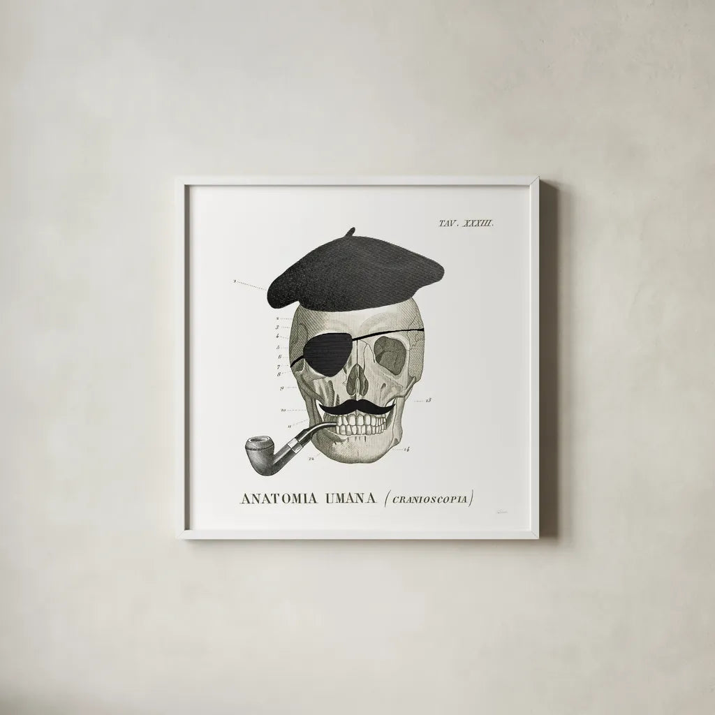 Dandy Bones VI by Sue Schlabach. Shown in a crisp white glass frame for a clean and minimalist style. Available as an archival giclee rolled canvas, fine art paper, or poster print. SKU 36815a.