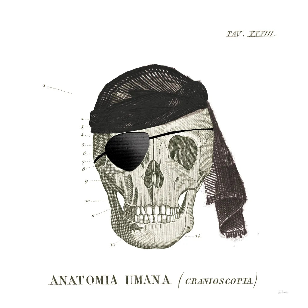 Dandy Bones VI Pirate by Sue Schlabach. SKU 67443a. Archival Giclee Fine art print for wall decor.