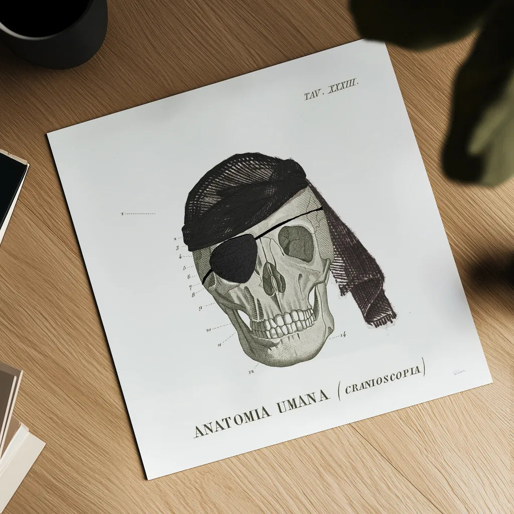 Dandy Bones VI Pirate by Sue Schlabach. Shown as a detailed flat fine art print, highlighting archival giclee quality. Available as an archival giclee rolled canvas, fine art paper, or poster print. SKU 67443a.