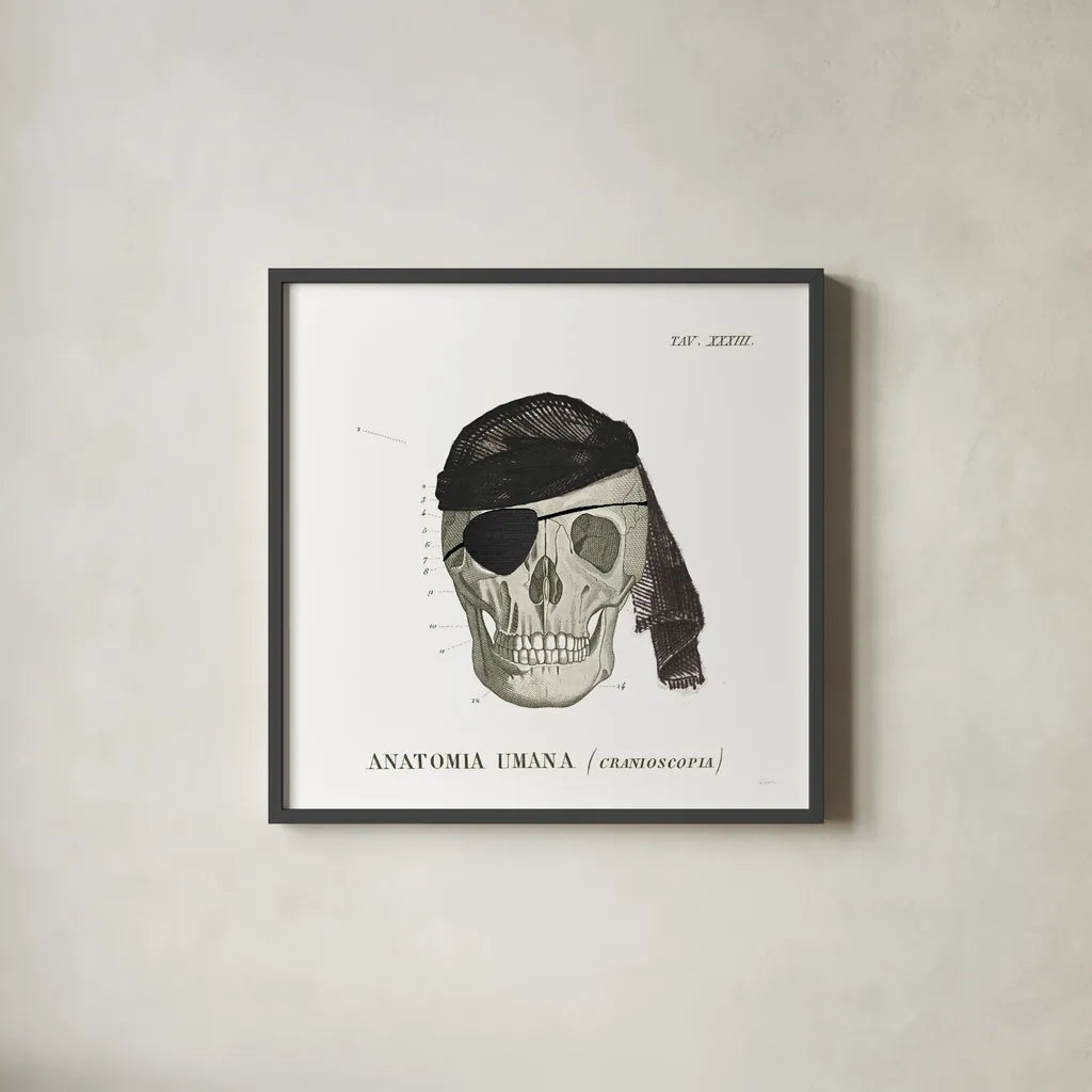 Dandy Bones VI Pirate by Sue Schlabach. Shown in a sleek black glass frame for a contemporary gallery look. Available as an archival giclee rolled canvas, fine art paper, or poster print. SKU 67443a.