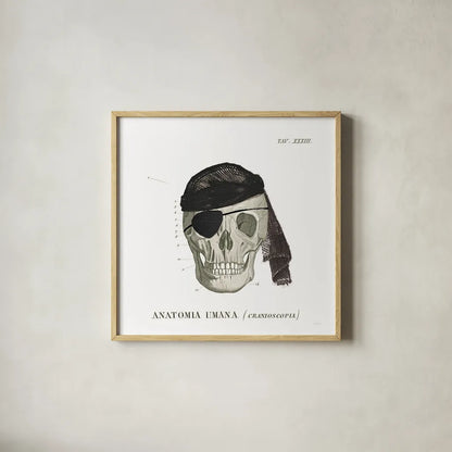 Dandy Bones VI Pirate by Sue Schlabach. Shown in a natural wood glass frame for a timeless modern aesthetic. Available as an archival giclee rolled canvas, fine art paper, or poster print. SKU 67443a.