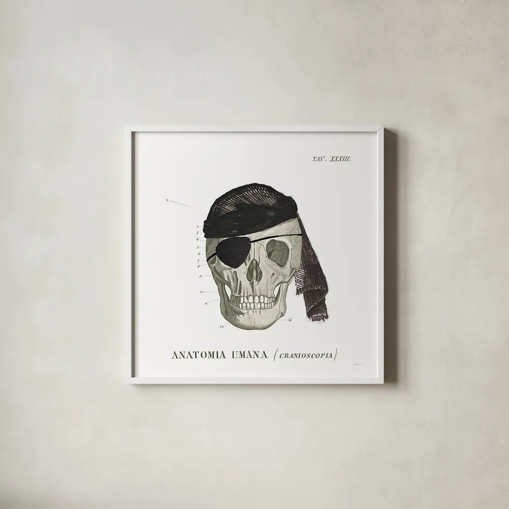 Dandy Bones VI Pirate by Sue Schlabach. Shown in a crisp white glass frame for a clean and minimalist style. Available as an archival giclee rolled canvas, fine art paper, or poster print. SKU 67443a.