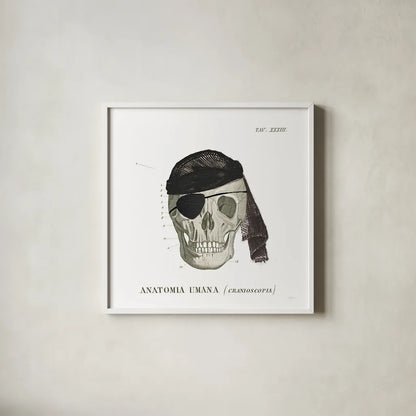 Dandy Bones VI Pirate by Sue Schlabach. Shown in a crisp white glass frame for a clean and minimalist style. Available as an archival giclee rolled canvas, fine art paper, or poster print. SKU 67443a.