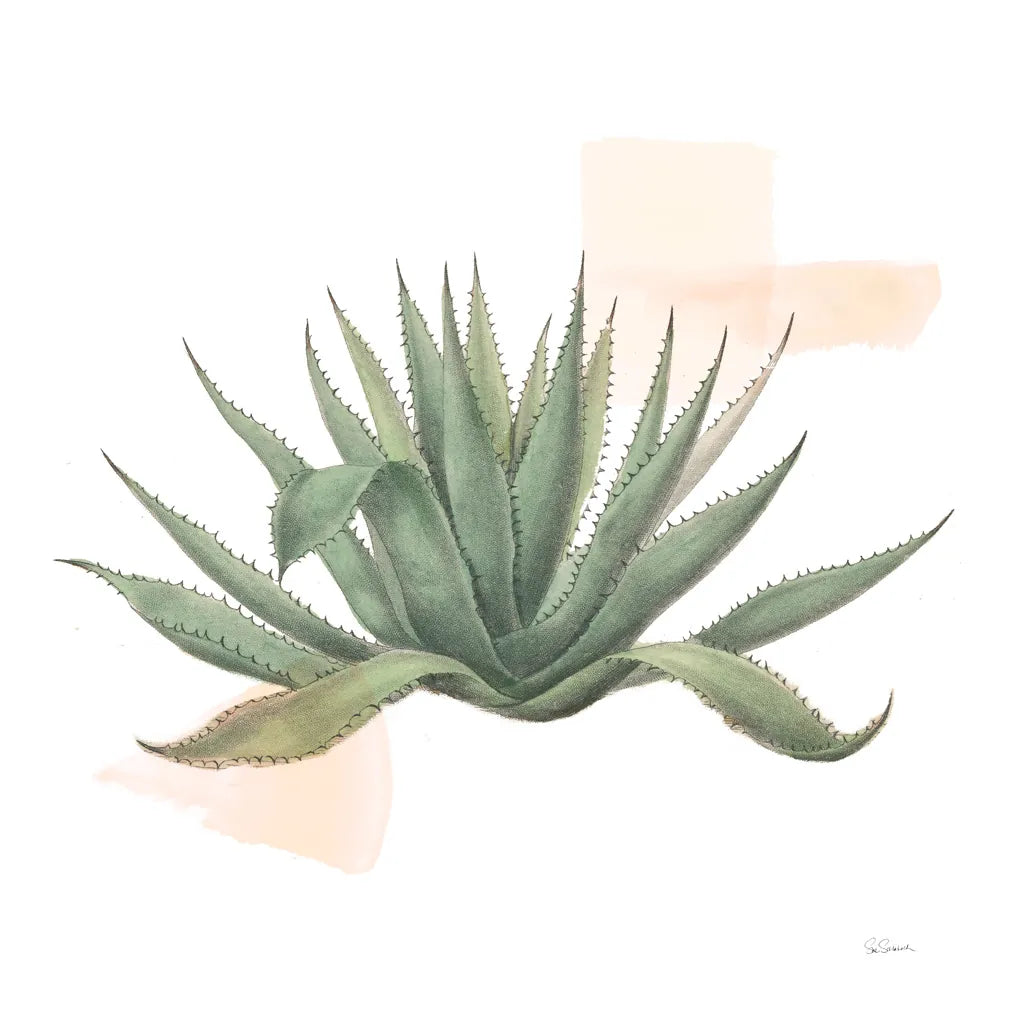 Desert Color Succulent I by Sue Schlabach. SKU 51423a. Archival Giclee Fine art print for wall decor.