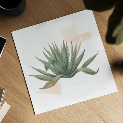 Desert Color Succulent I by Sue Schlabach. Shown as a detailed flat fine art print, highlighting archival giclee quality. Available as an archival giclee rolled canvas, fine art paper, or poster print. SKU 51423a.