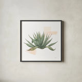 Desert Color Succulent I by Sue Schlabach. Shown in a sleek black glass frame for a contemporary gallery look. Available as an archival giclee rolled canvas, fine art paper, or poster print. SKU 51423a.