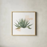 Desert Color Succulent I by Sue Schlabach. Shown in a natural wood glass frame for a timeless modern aesthetic. Available as an archival giclee rolled canvas, fine art paper, or poster print. SKU 51423a.