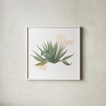 Desert Color Succulent I by Sue Schlabach. Shown in a crisp white glass frame for a clean and minimalist style. Available as an archival giclee rolled canvas, fine art paper, or poster print. SKU 51423a.