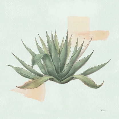 Desert Color Succulent I Mint by Sue Schlabach. SKU 56050a. Archival Giclee Fine art print for wall decor.