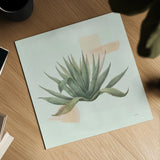 Desert Color Succulent I Mint by Sue Schlabach. Shown as a detailed flat fine art print, highlighting archival giclee quality. Available as an archival giclee rolled canvas, fine art paper, or poster print. SKU 56050a.