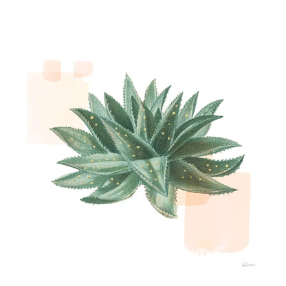 Desert Color Succulent II by Sue Schlabach. SKU 51424a. Archival Giclee Fine art print for wall decor.