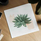 Desert Color Succulent II by Sue Schlabach. Shown as a detailed flat fine art print, highlighting archival giclee quality. Available as an archival giclee rolled canvas, fine art paper, or poster print. SKU 51424a.