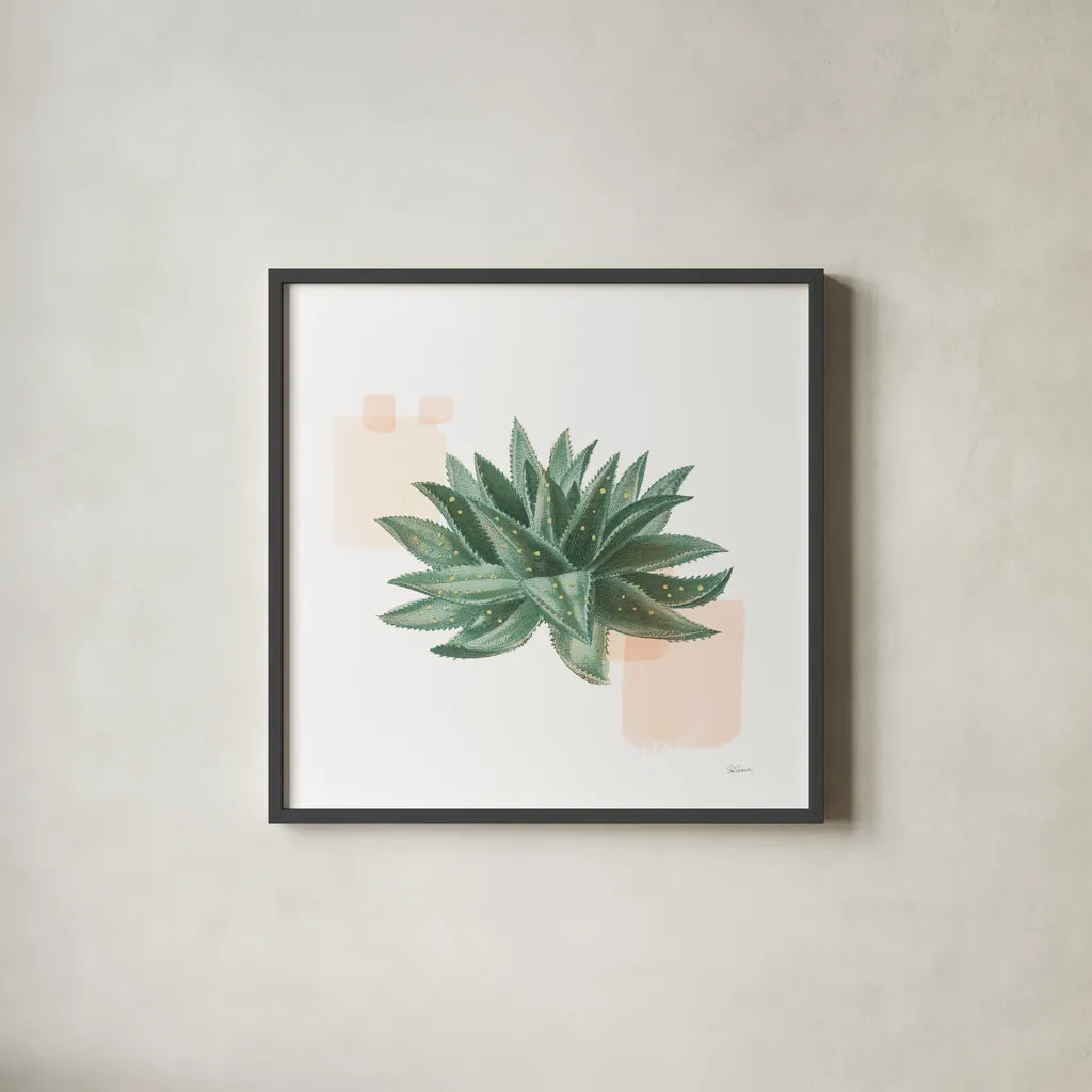 Desert Color Succulent II by Sue Schlabach. Shown in a sleek black glass frame for a contemporary gallery look. Available as an archival giclee rolled canvas, fine art paper, or poster print. SKU 51424a.