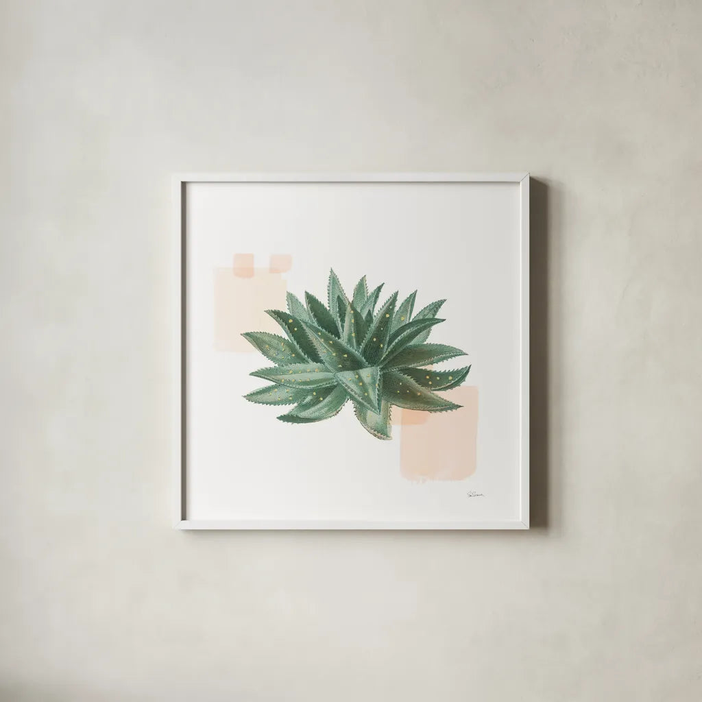 Desert Color Succulent II by Sue Schlabach. Shown in a crisp white glass frame for a clean and minimalist style. Available as an archival giclee rolled canvas, fine art paper, or poster print. SKU 51424a.