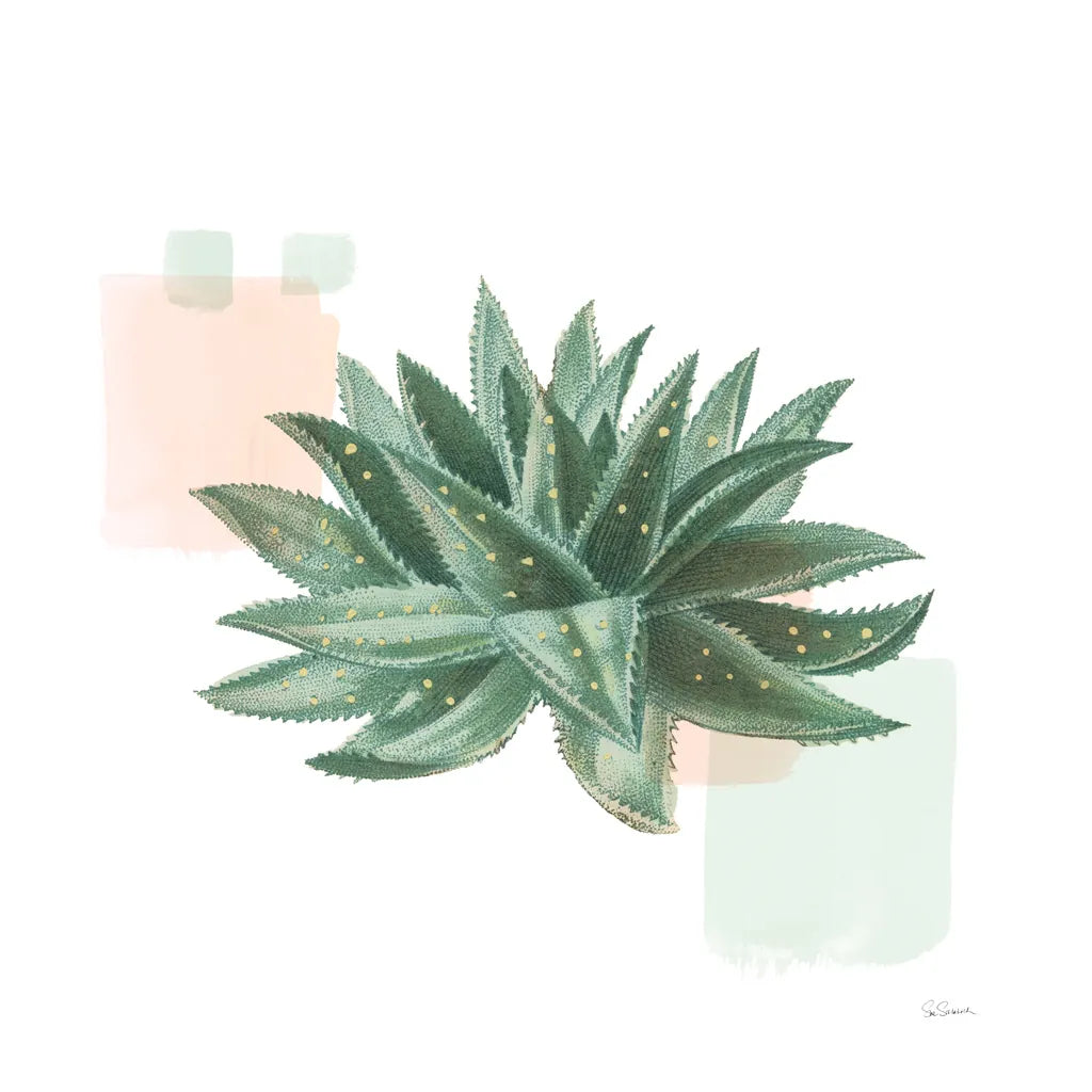 Desert Color Succulent II Mint by Sue Schlabach. SKU 56051a. Archival Giclee Fine art print for wall decor.