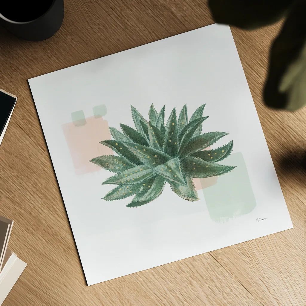 Desert Color Succulent II Mint by Sue Schlabach. Shown as a detailed flat fine art print, highlighting archival giclee quality. Available as an archival giclee rolled canvas, fine art paper, or poster print. SKU 56051a.