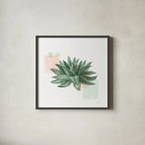 Desert Color Succulent II Mint by Sue Schlabach. Shown in a sleek black glass frame for a contemporary gallery look. Available as an archival giclee rolled canvas, fine art paper, or poster print. SKU 56051a.