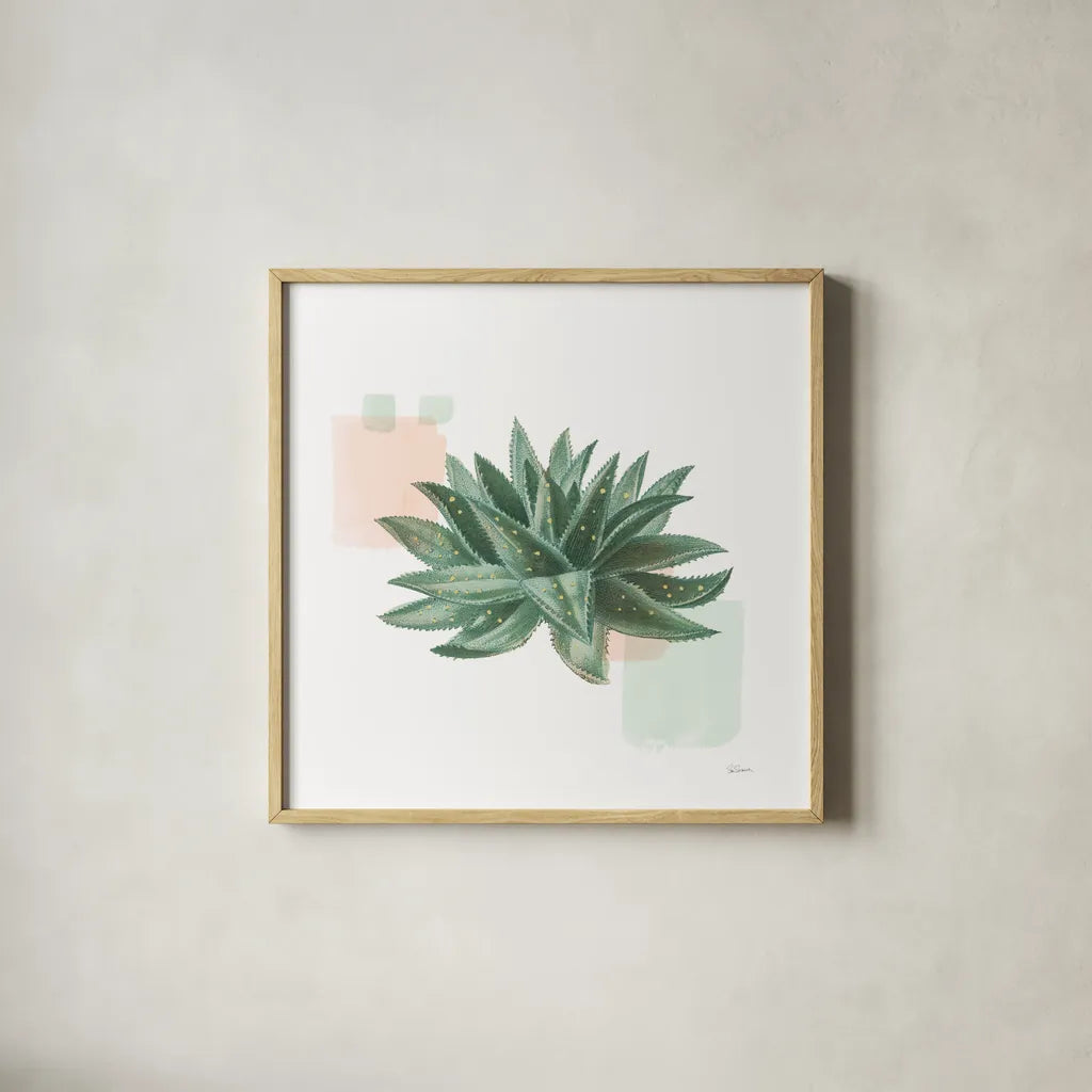 Desert Color Succulent II Mint by Sue Schlabach. Shown in a natural wood glass frame for a timeless modern aesthetic. Available as an archival giclee rolled canvas, fine art paper, or poster print. SKU 56051a.