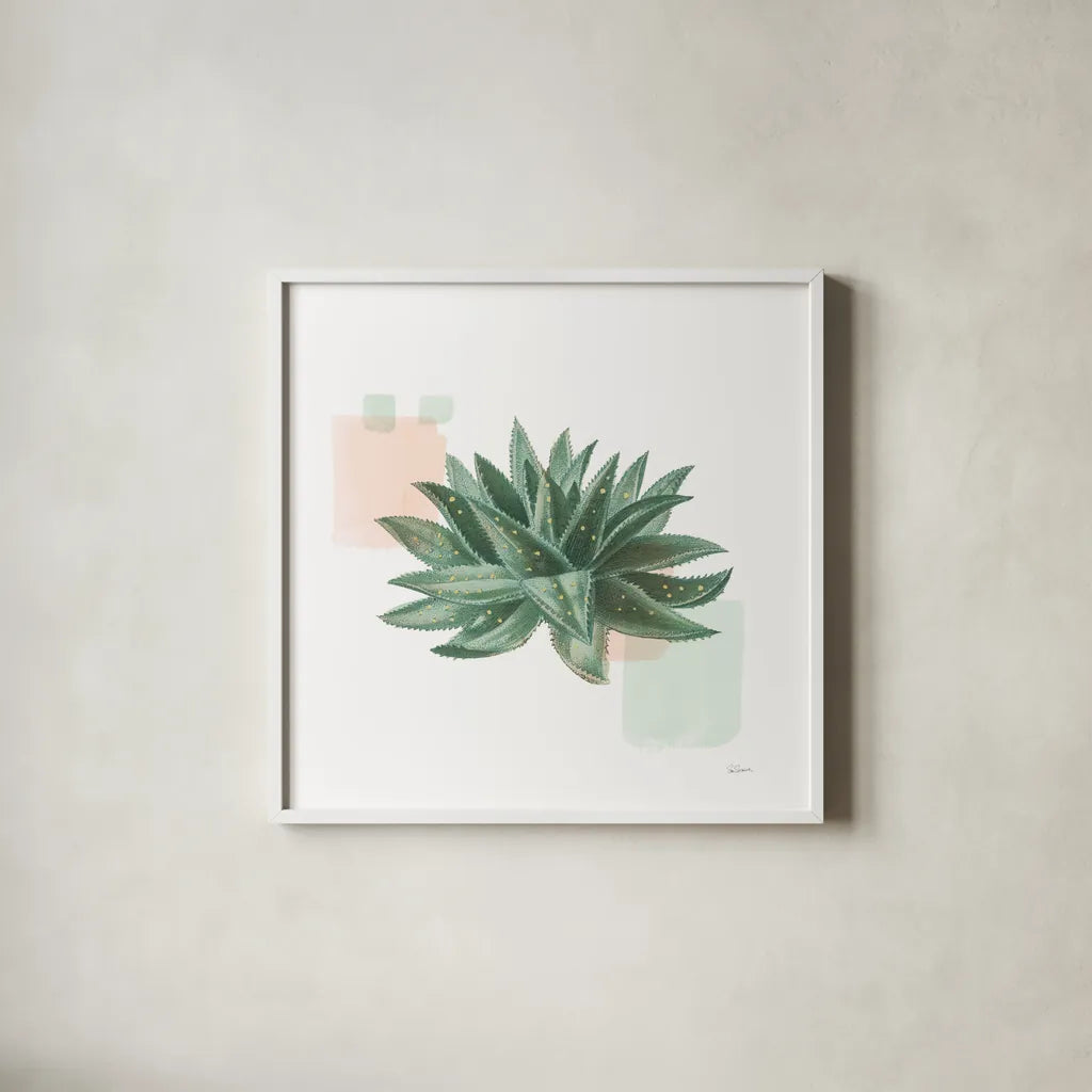 Desert Color Succulent II Mint by Sue Schlabach. Shown in a crisp white glass frame for a clean and minimalist style. Available as an archival giclee rolled canvas, fine art paper, or poster print. SKU 56051a.