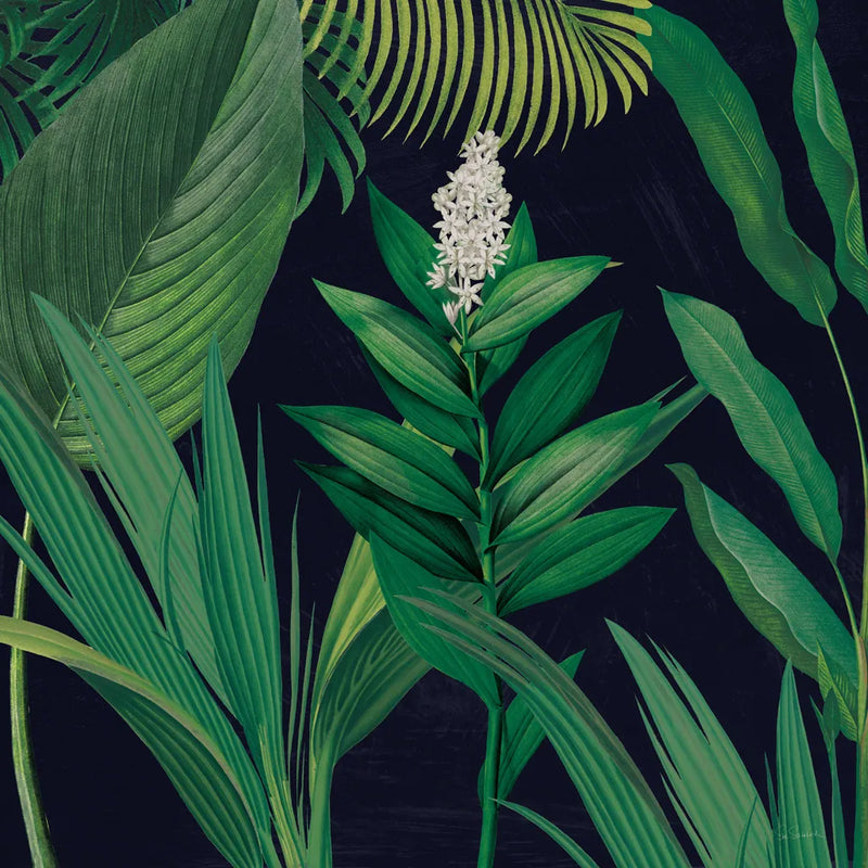 Dramatic Tropical I by Sue Schlabach. SKU 50353a. Archival Giclee Fine art print for wall decor.
