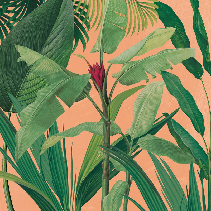 Dramatic Tropical I Boho by Sue Schlabach. SKU 69955a. Archival Giclee Fine art print for wall decor.