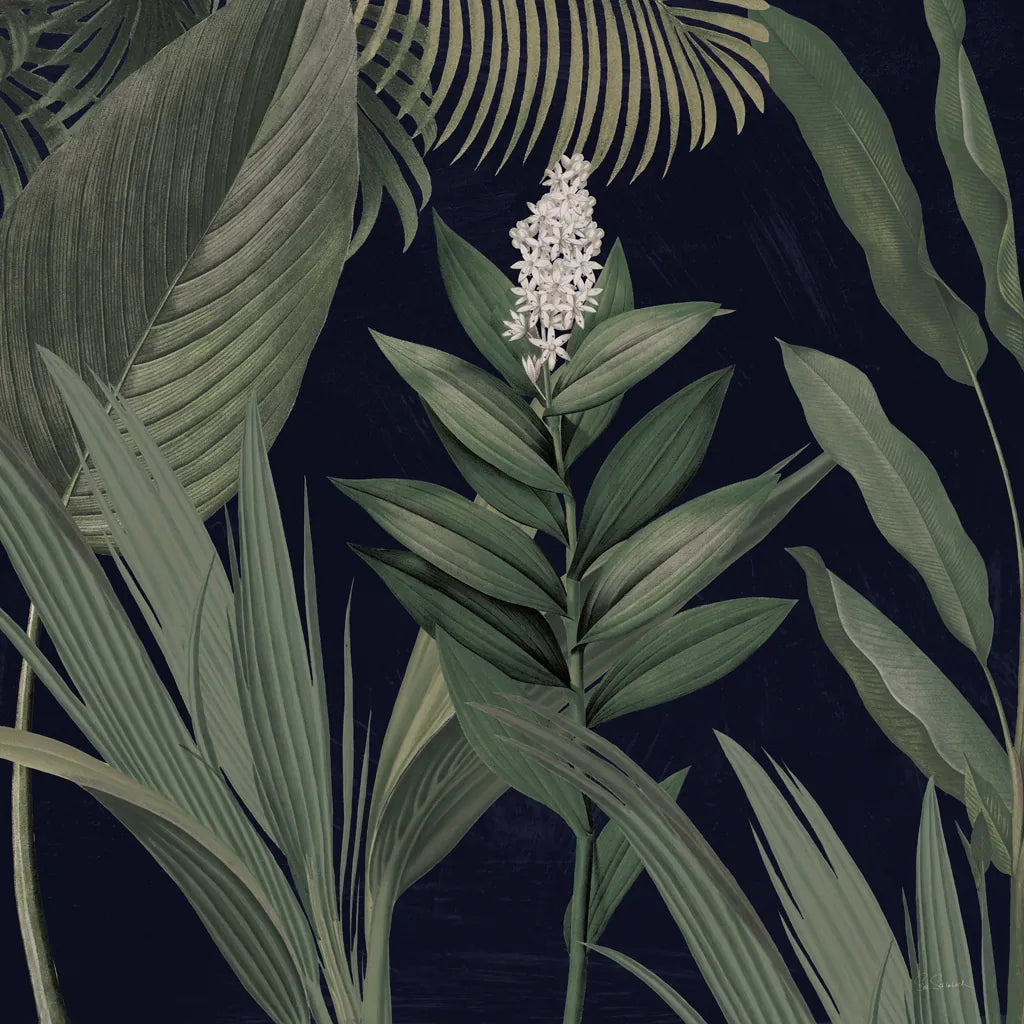 Dramatic Tropical I Light by Sue Schlabach. SKU 51214a. Archival Giclee Fine art print for wall decor.