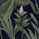 Dramatic Tropical I Light by Sue Schlabach. SKU 51214a. Archival Giclee Fine art print for wall decor.
